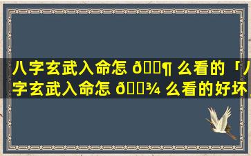 八字玄武入命怎 🐶 么看的「八字玄武入命怎 🌾 么看的好坏」